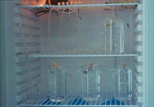 Equipamentos (sem data)