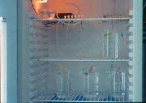 Equipamentos (sem data)